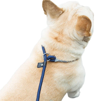 Braided Slip Rope Lead Dog Leash
