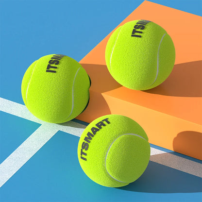 Tennis Balls with Mesh Carry Bag for Dogs and Cats