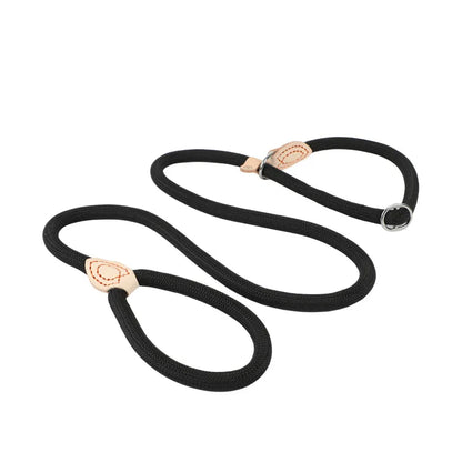 Dog Slip Rope Lead Leash