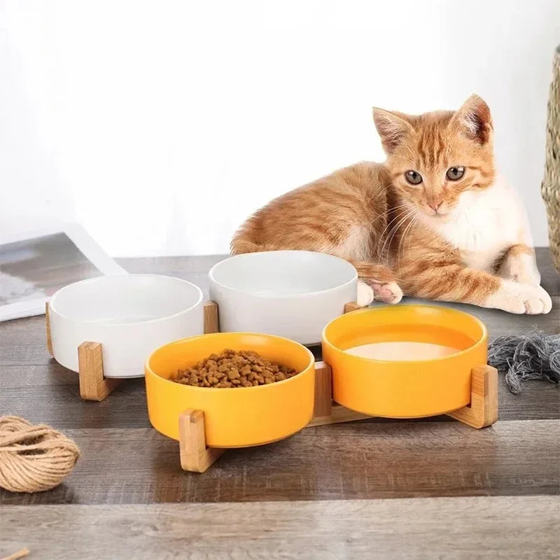 Ceramic Pet Bowl for Dogs and Cats