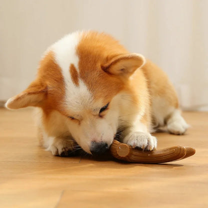 Interactive Bone Training Toy for Dogs