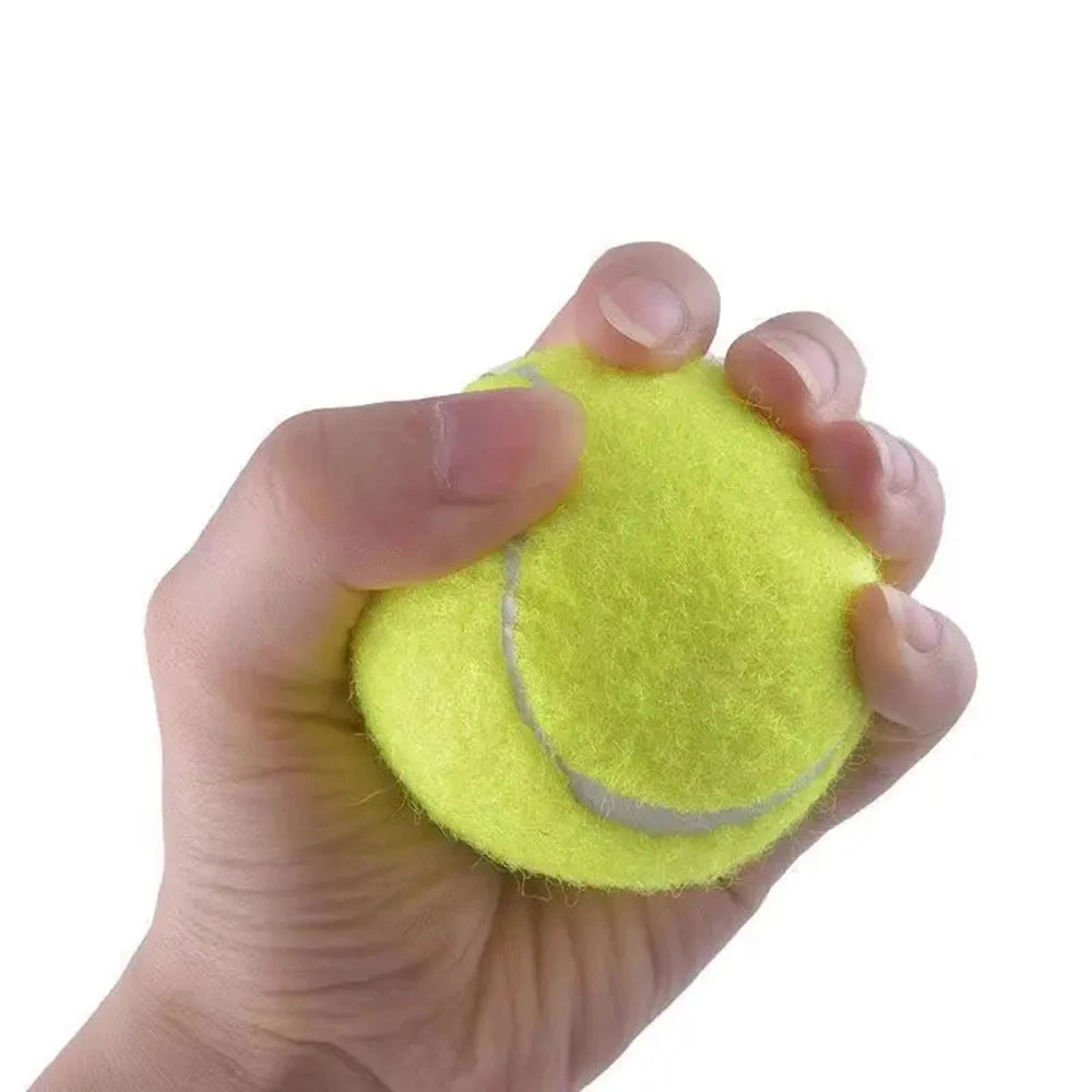 Tennis Balls with Mesh Carry Bag for Dogs and Cats