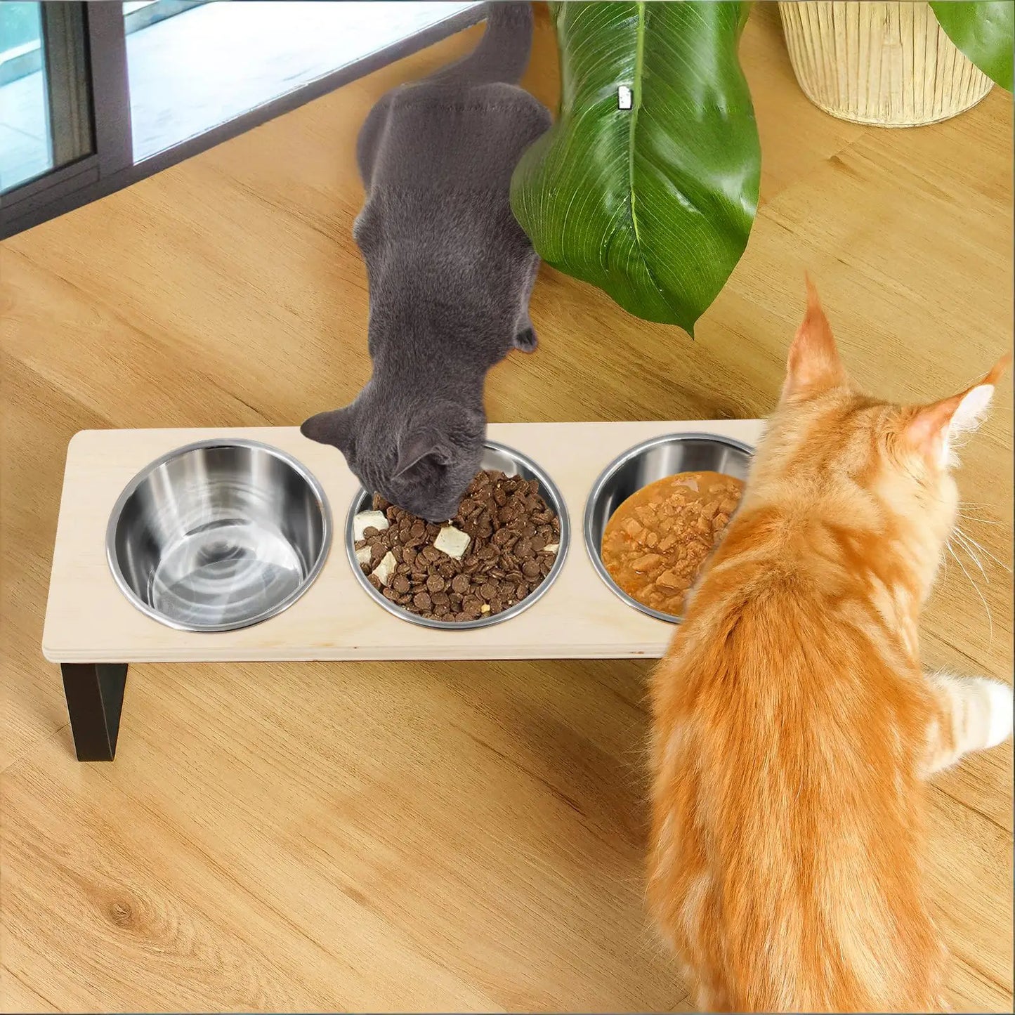 Elevated Cat Bowl Feeder