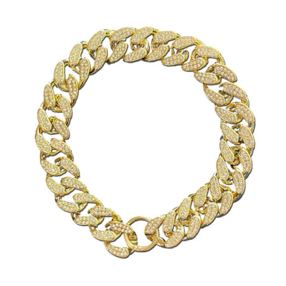 ABS Plastic Dog Chain Collar