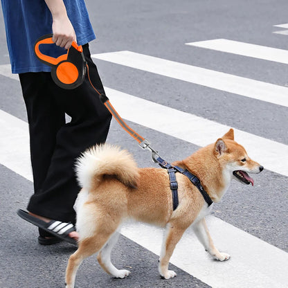 Hands Free Reflective Dog Leash