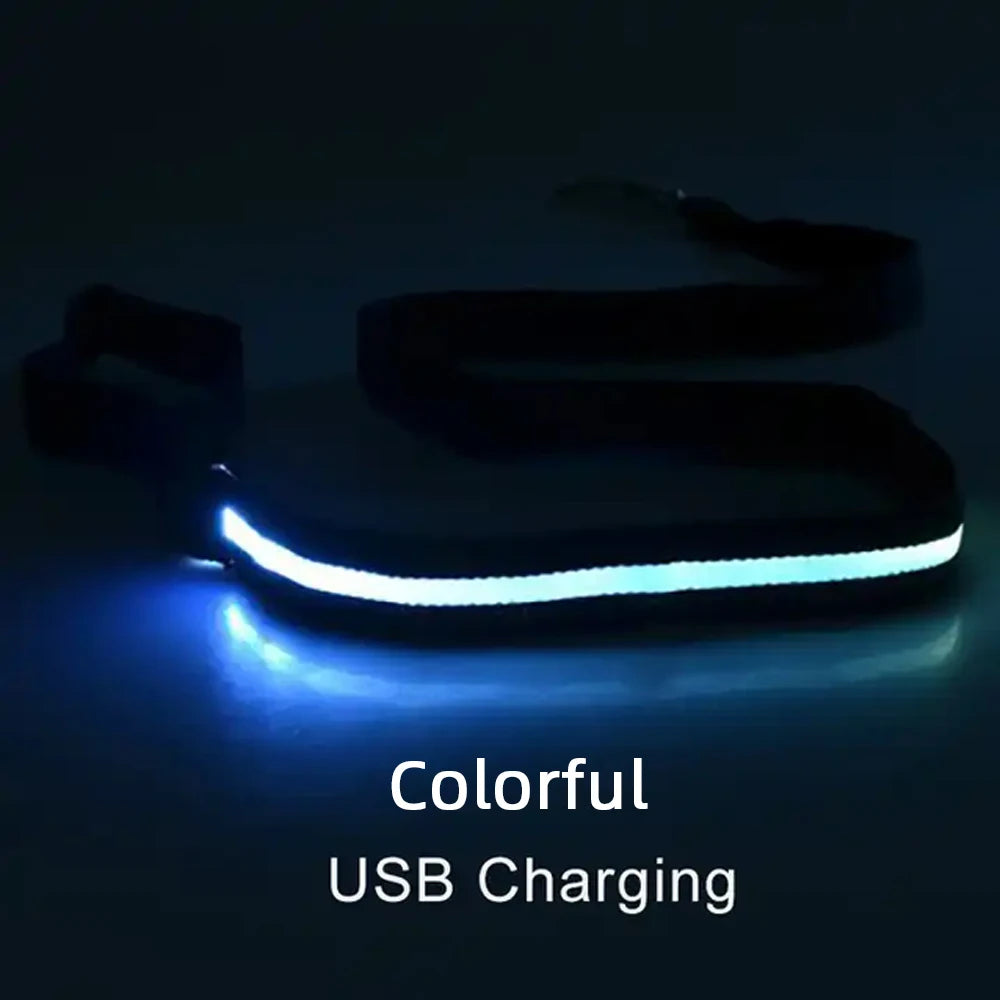 Luminous LED Light Up Dog Leash