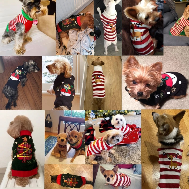 Pet Sweaters for Dogs