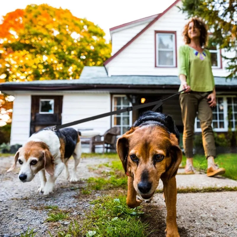 Adjustable Double Dog Trainer Lead