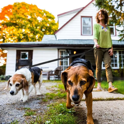 Adjustable Double Dog Trainer Lead