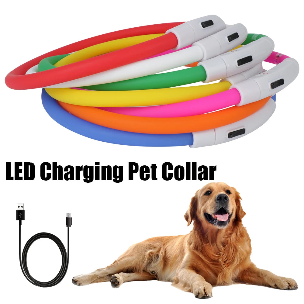 Night Safety Flashing Glow Collar for Dogs and Cats