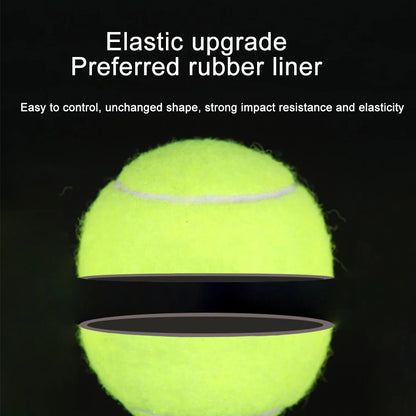 Tennis Balls with Mesh Carry Bag for Dogs and Cats