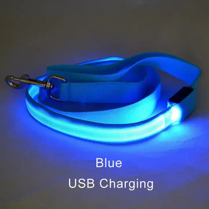 Luminous LED Light Up Dog Leash