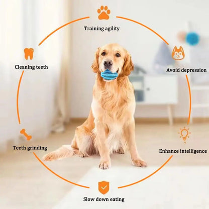 Pet Chew Toys for Teeth Cleaning for Dogs and Cats